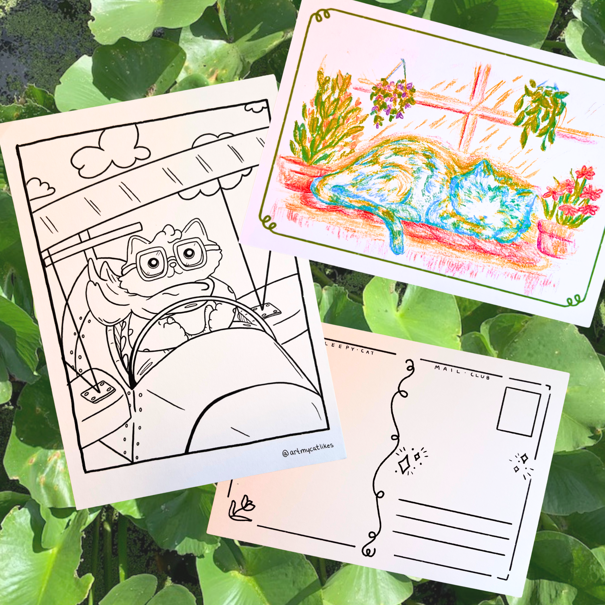 Sleepy Cat Mail Club