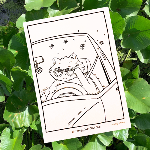 "Sunday Driver" Cat Coloring Page Postcard